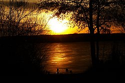 DSC09433.JPG
