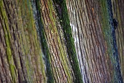Farben der Natur.jpg