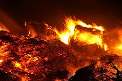 Feuer.jpg