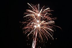 Feuerwerk.JPG