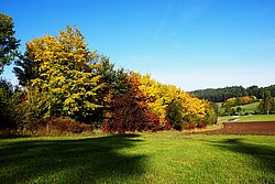 Herbst.JPG