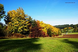 Herbst.jpg