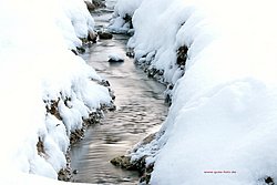 Winter.jpg