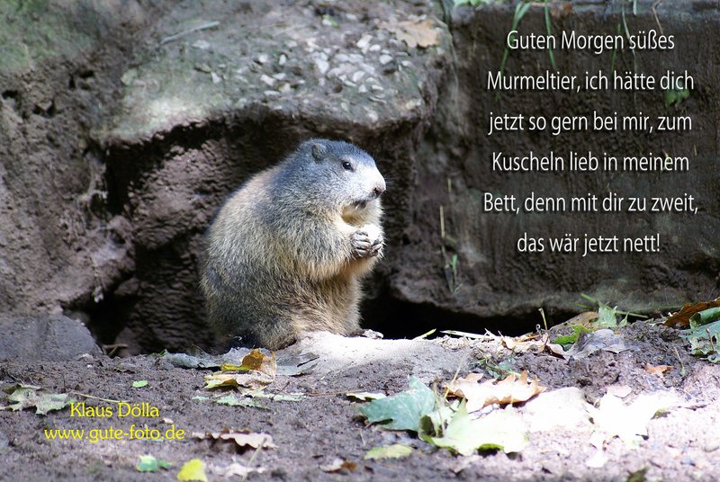 Karte-004.jpg