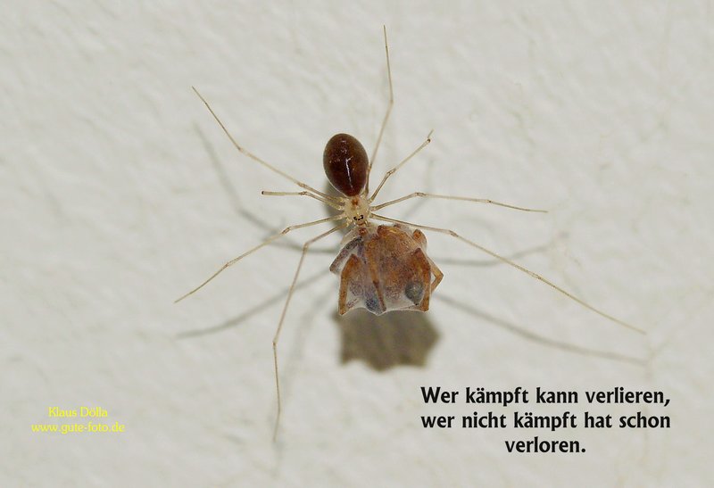 Karte-018.jpg