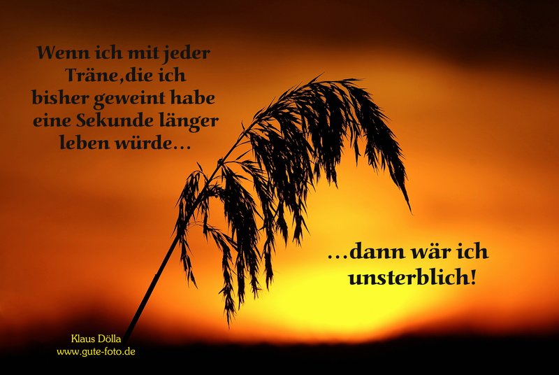 Karte-044.jpg