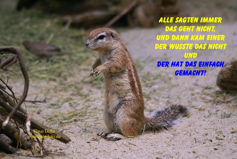 Karte-047.jpg