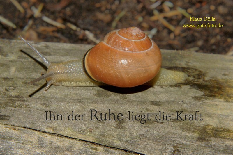 Karte-100.jpg