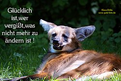 Karte-077.jpg