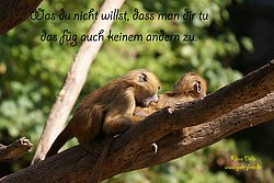 Karte-083.jpg