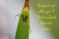 Karte-085.jpg