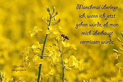 Karte-089.jpg