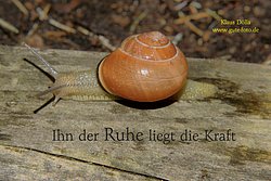 Karte-100.jpg