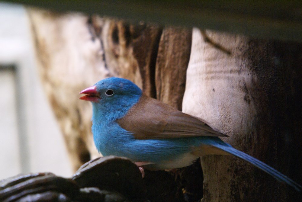 DSC03033.jpg