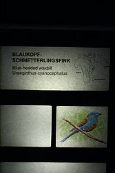 DSC03036.JPG