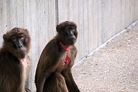 DSC07396.jpg