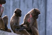 DSC07404.jpg