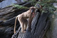 DSC07407.jpg
