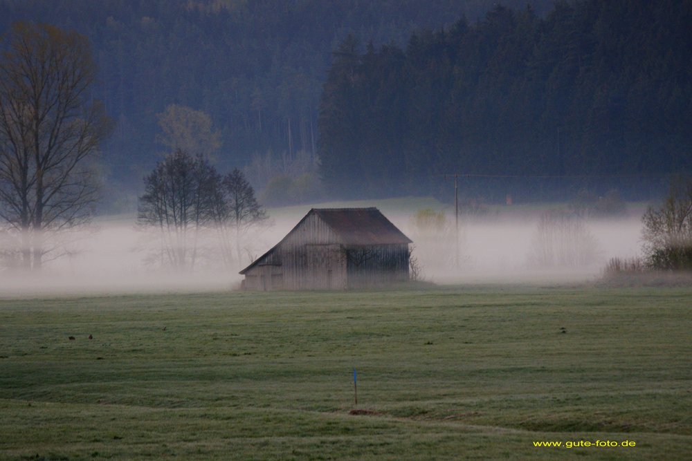Bodennebel-03.jpg