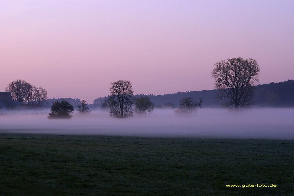 Bodennebel-05.jpg