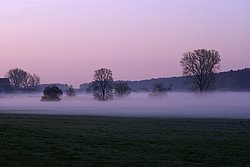 Bodennebel-05.JPG