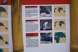Brauner-Sichler-4.JPG