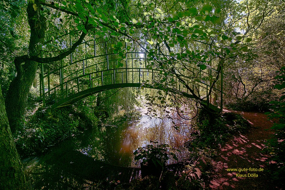 DSC05300-b.jpg