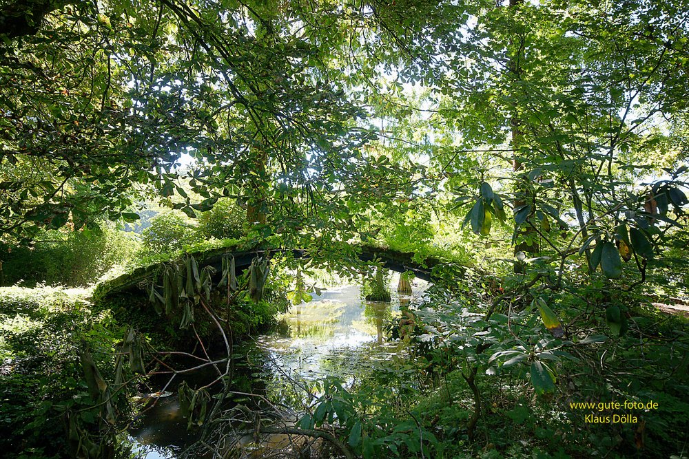 DSC05316-b.jpg