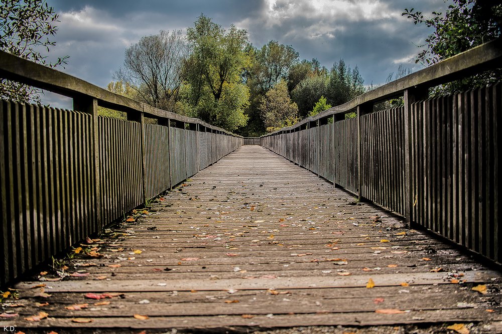 der lange Weg.jpg