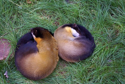 DSC01789.jpg