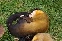 DSC01780.jpg