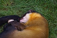 DSC01781.jpg