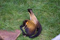 DSC01782.jpg