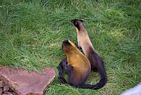 DSC01783.jpg