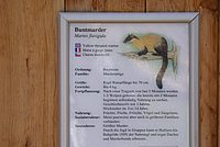DSC01785.JPG
