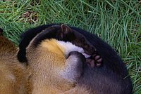 DSC01788.jpg