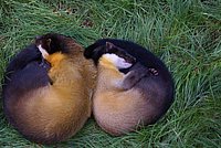DSC01795.jpg