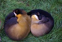 DSC01796.jpg