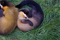 DSC01800.jpg