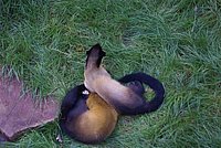 DSC01804.jpg