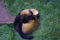 DSC01806.jpg