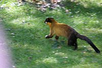 DSC01810.jpg