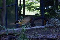 DSC01812.jpg