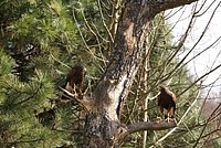 DSC05118.JPG