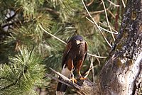 DSC05119.JPG