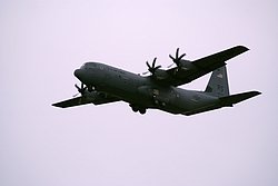 RS-88601.JPG
