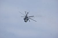 DSC05571.JPG