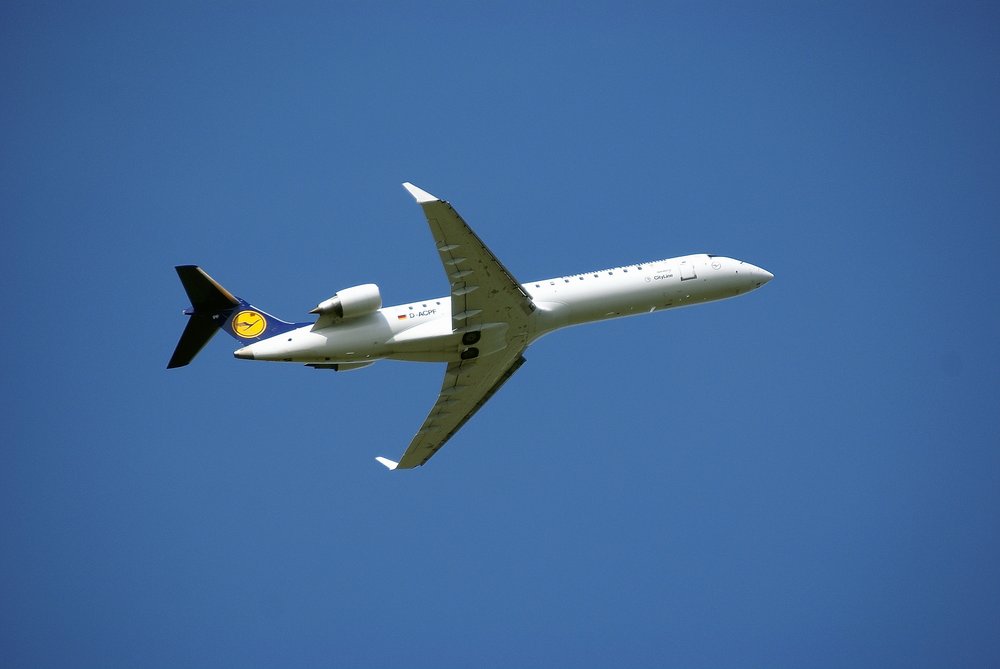 D-ACPF.JPG