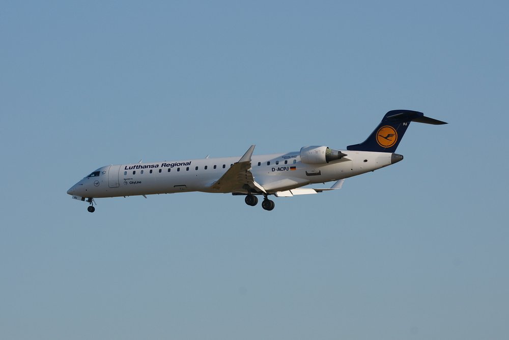 D-ACPJ.JPG