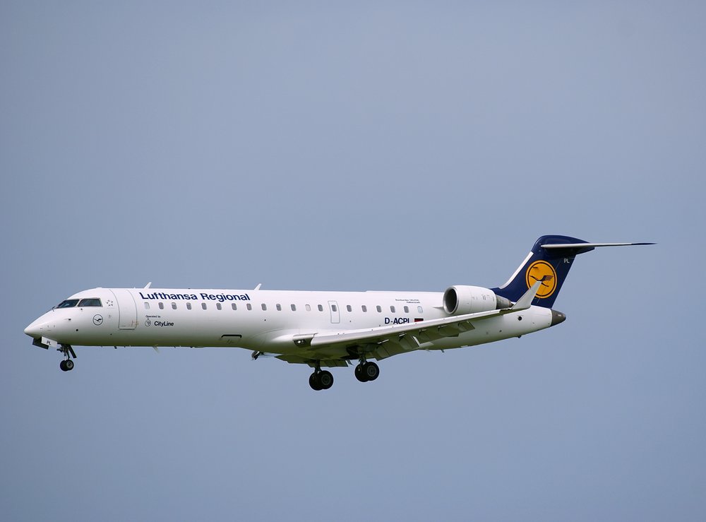 D-ACPL.JPG